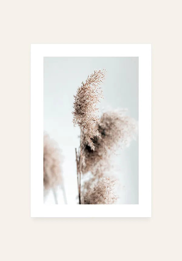 Quadro Grama dos Pampas com Borda