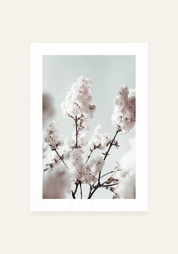 Quadro Flores Brancas com Borda