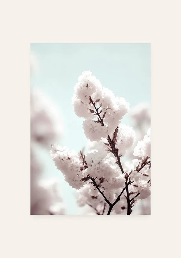 Quadro White Cherry Blossom I