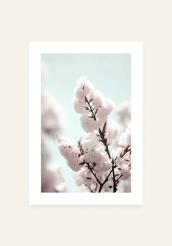 Quadro White Cherry Blossom I com Borda