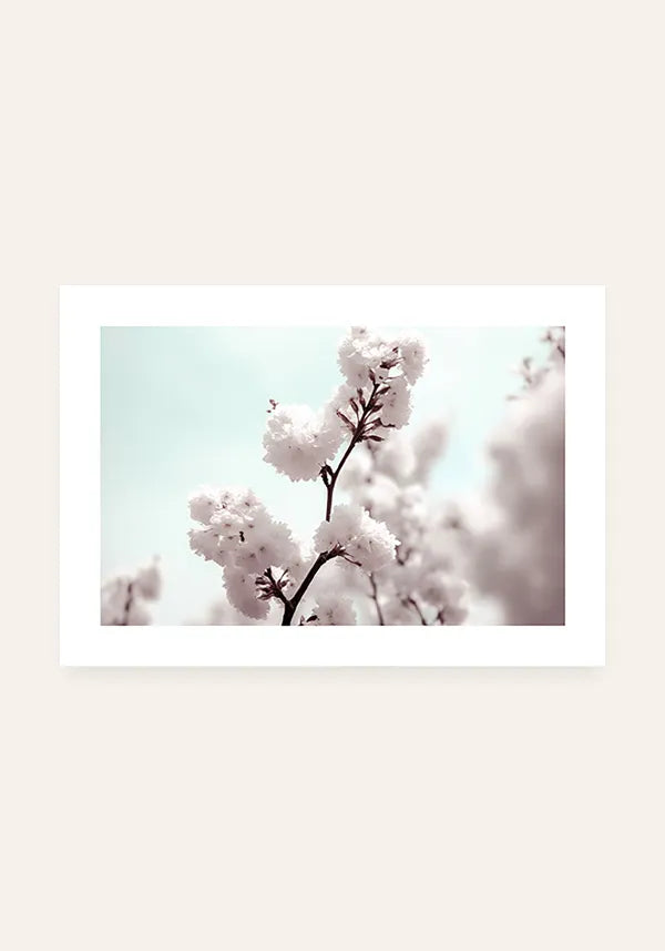 Quadro White Cherry Blossom Horizontal I com Borda