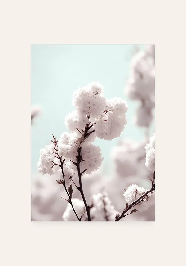 Quadro White Cherry Blossom II