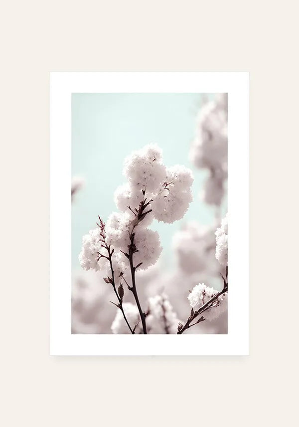 Quadro White Cherry Blossom II com Borda