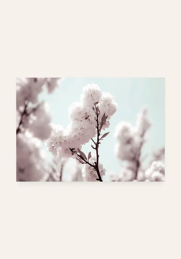 Quadro White Cherry Blossom Horizontal II