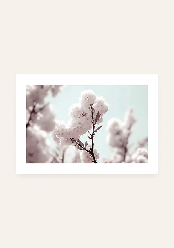 Quadro White Cherry Blossom Horizontal II com Borda