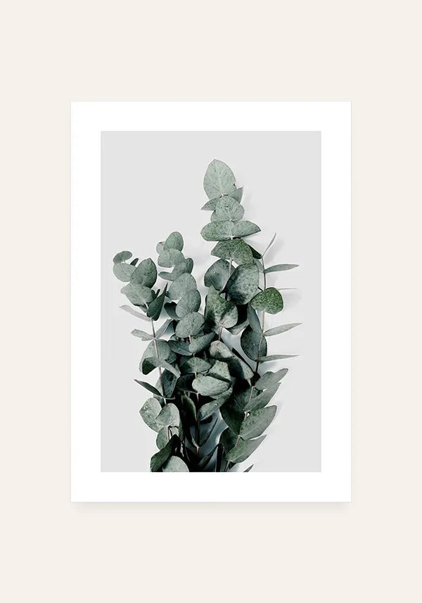 Quadro Folhas de Eucalipto com Borda