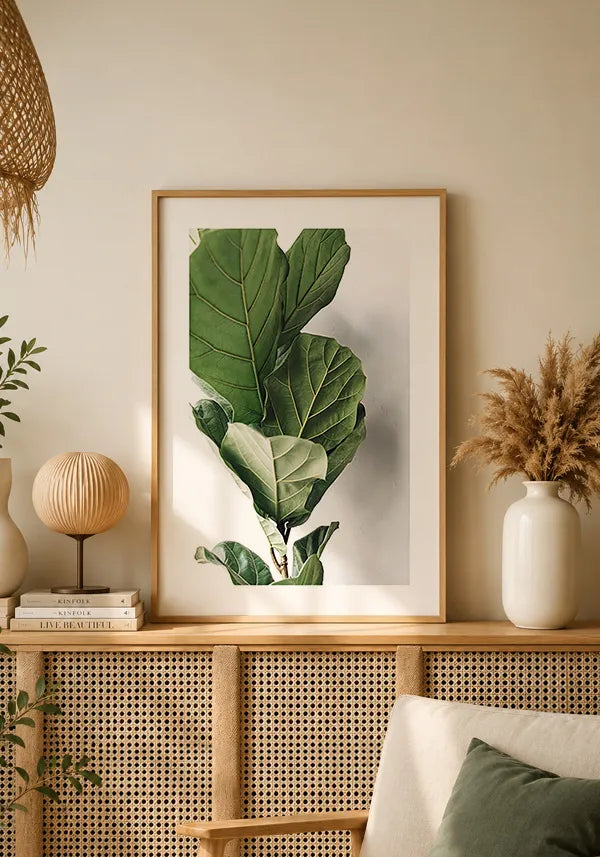 Quadro Ficus Lyrata com Borda
