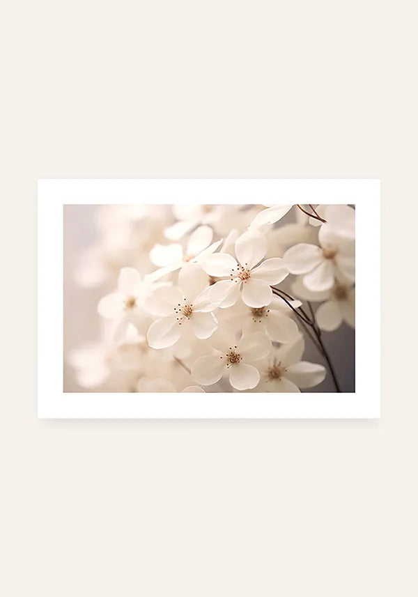 Quadro White Flowers Horizontal I com Borda