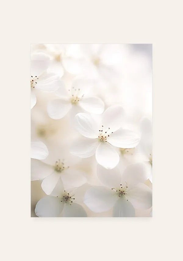 Quadro White Flowers I