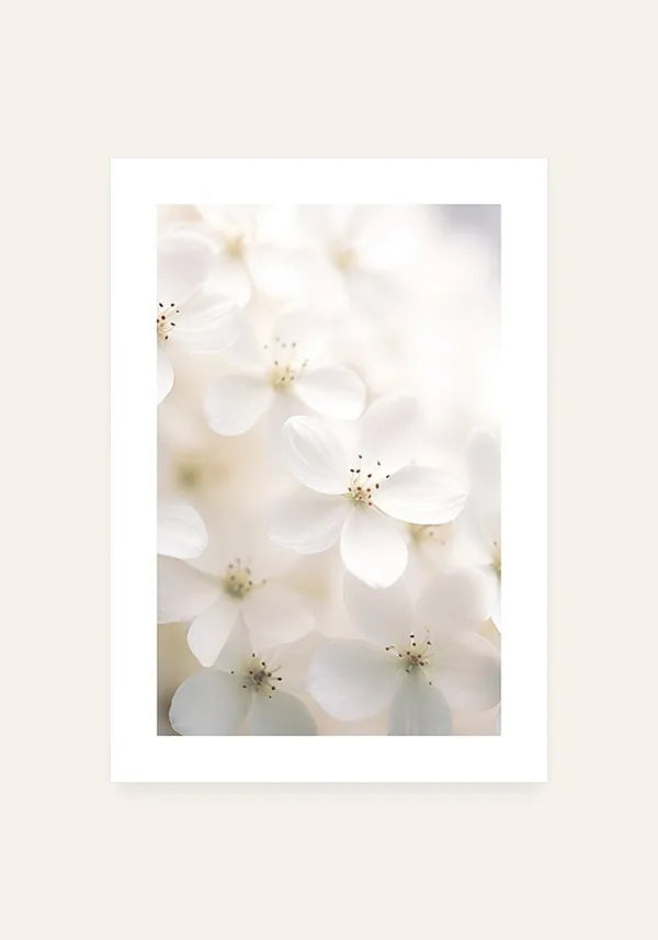 Quadro White Flowers I com Borda