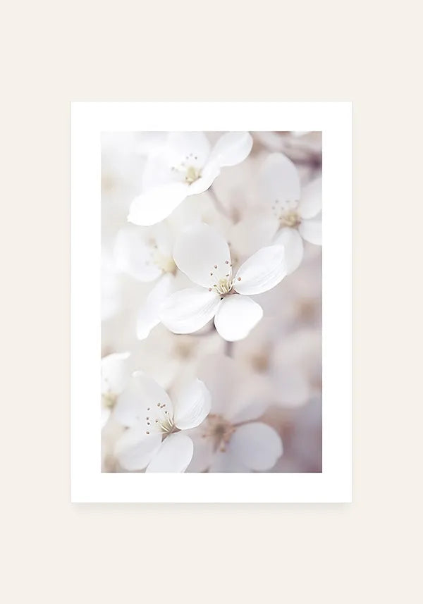 Quadro White Flowers II com Borda