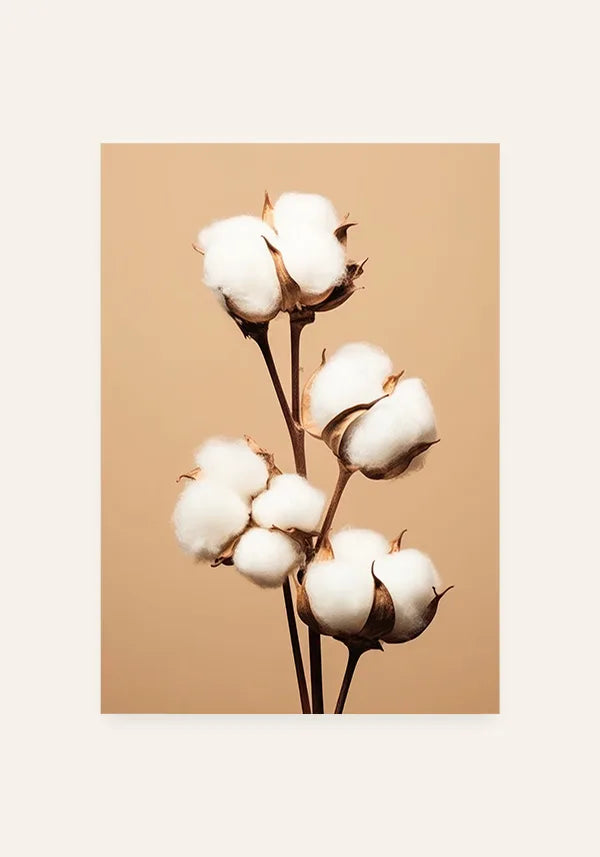 Quadro Buquê Flor de Algodão Envelhecida I