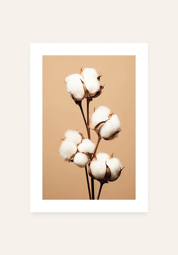 Quadro Buquê Flor de Algodão Envelhecida I com Borda