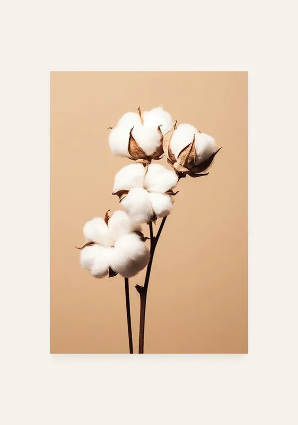 Quadro Buquê Flor de Algodão Envelhecida II