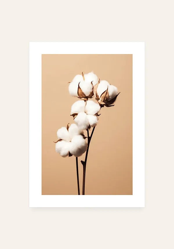 Quadro Buquê Flor de Algodão Envelhecida II com Borda