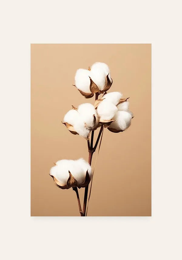 Quadro Buquê Flor de Algodão Envelhecida III