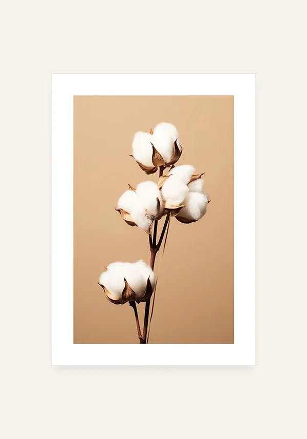 Quadro Buquê Flor de Algodão Envelhecida III com Borda