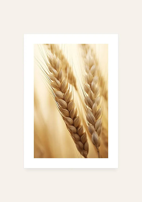 Quadro Hastes de Trigo Seco Close up I com Borda