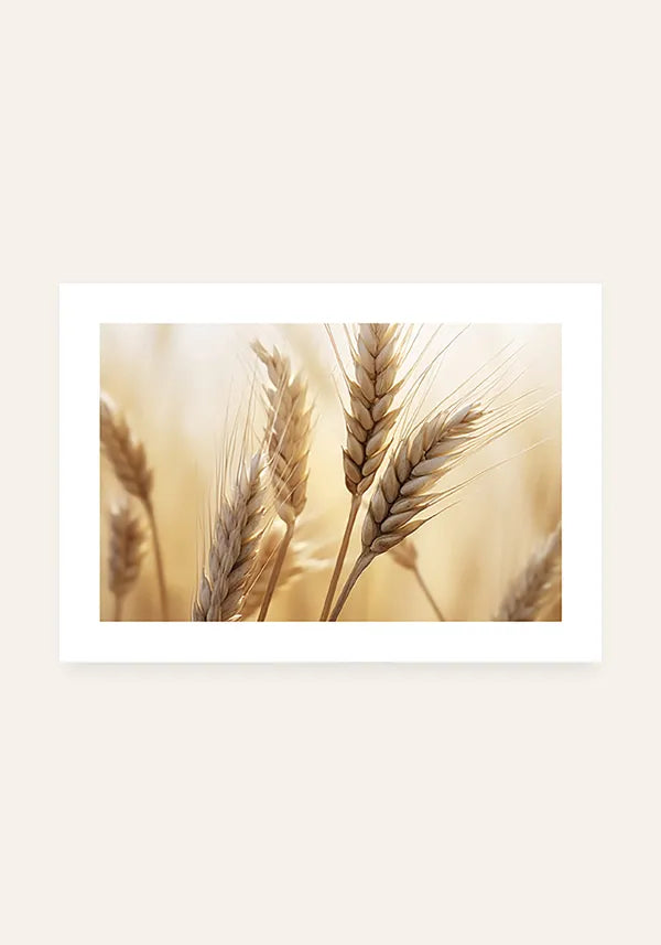 Quadro Ramo de Trigo Horizontal I com Borda
