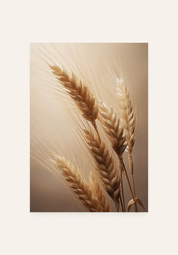 Quadro Decorativo Trigo Seco I