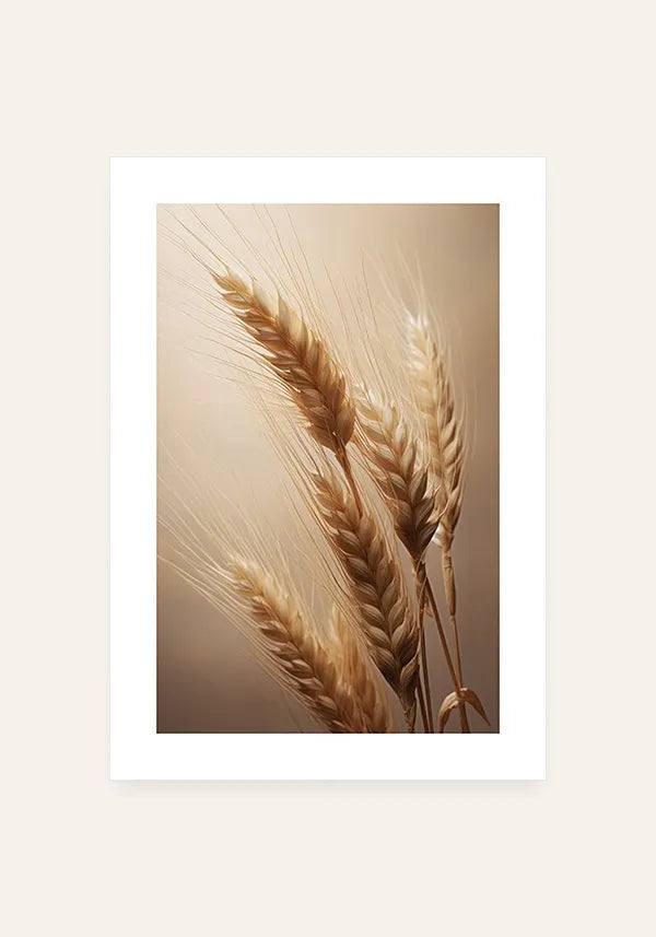 Quadro Decorativo Trigo Seco I com Borda