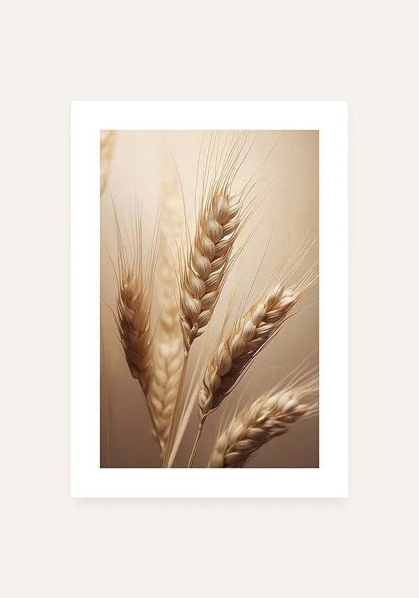 Quadro Decorativo Trigo Seco II com Borda