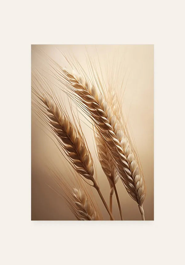 Quadro Decorativo Trigo Seco IV