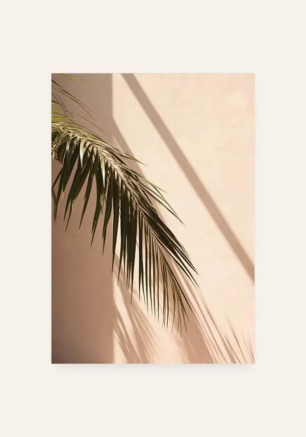 Quadro Folha de Palmeira ao Sol I