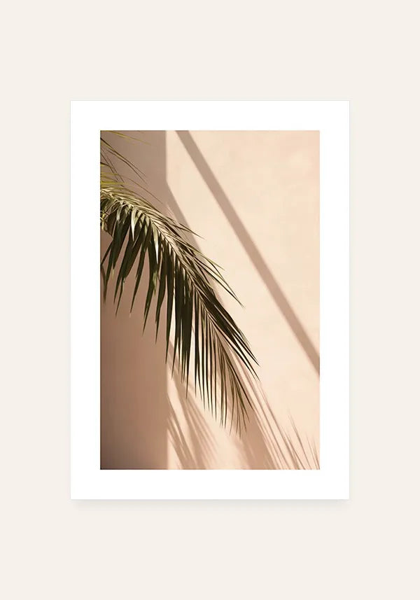 Quadro Folha de Palmeira ao Sol I com Borda