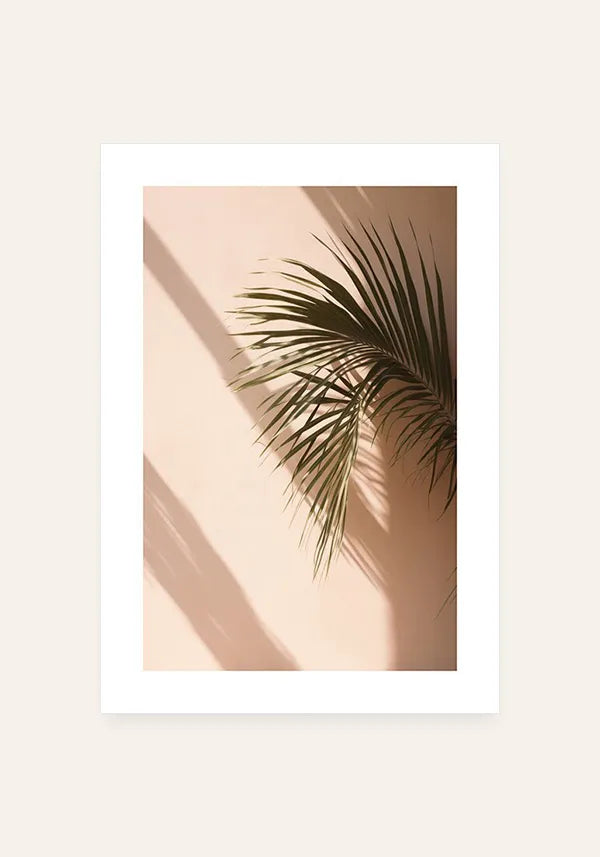 Quadro Folha de Palmeira ao Sol II com Borda