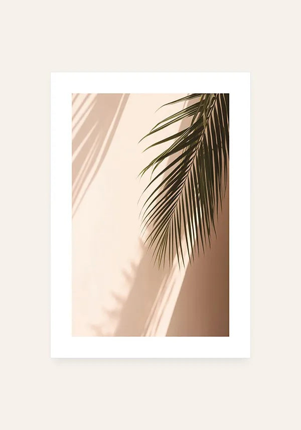 Quadro Folha de Palmeira ao Sol IV com Borda