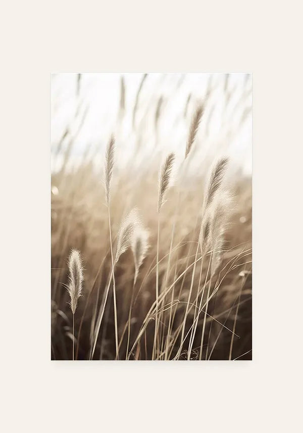 Quadro Juncos no Campo I