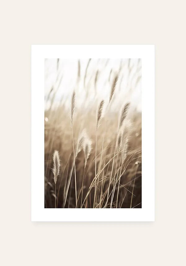 Quadro Juncos no Campo I com Borda