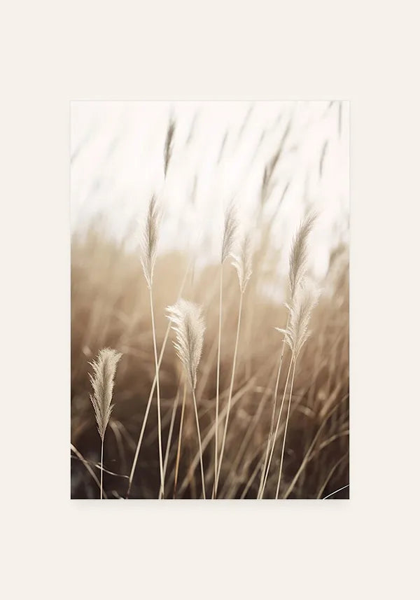 Quadro Juncos no Campo II