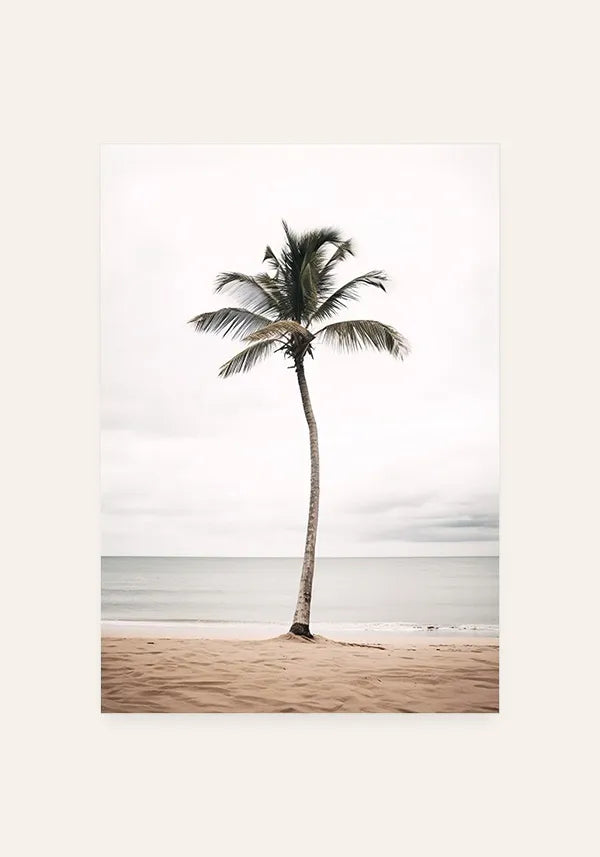 Quadro Coqueiro e Mar