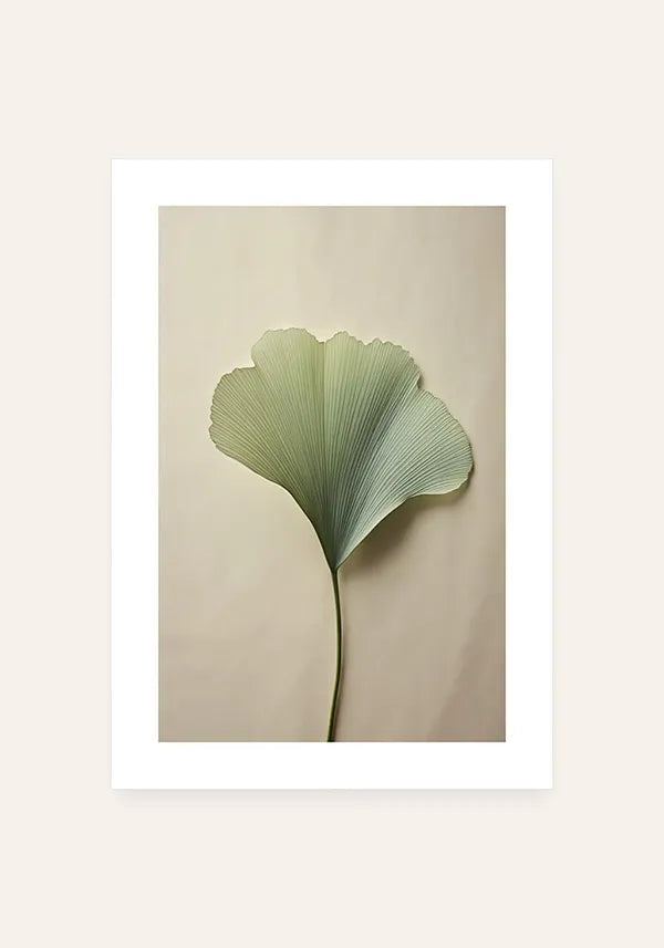 Quadro Ginkgo Biloba I com Borda