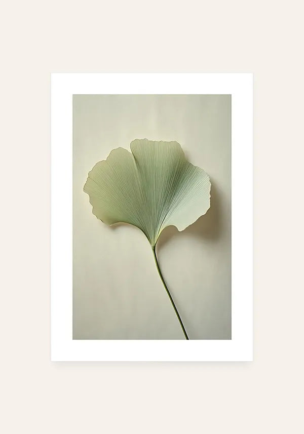 Quadro Ginkgo Biloba II com Borda