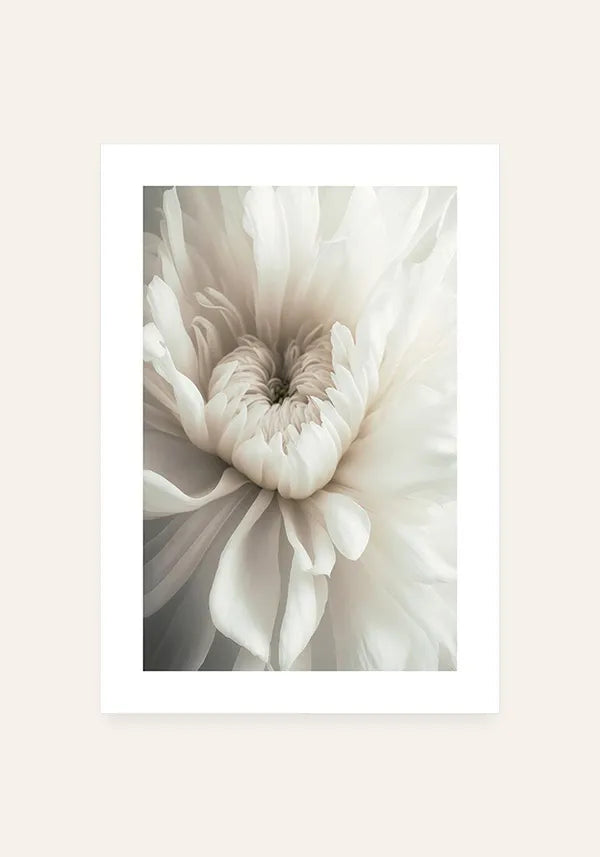 Quadro Flor Branca Delicada I com Borda