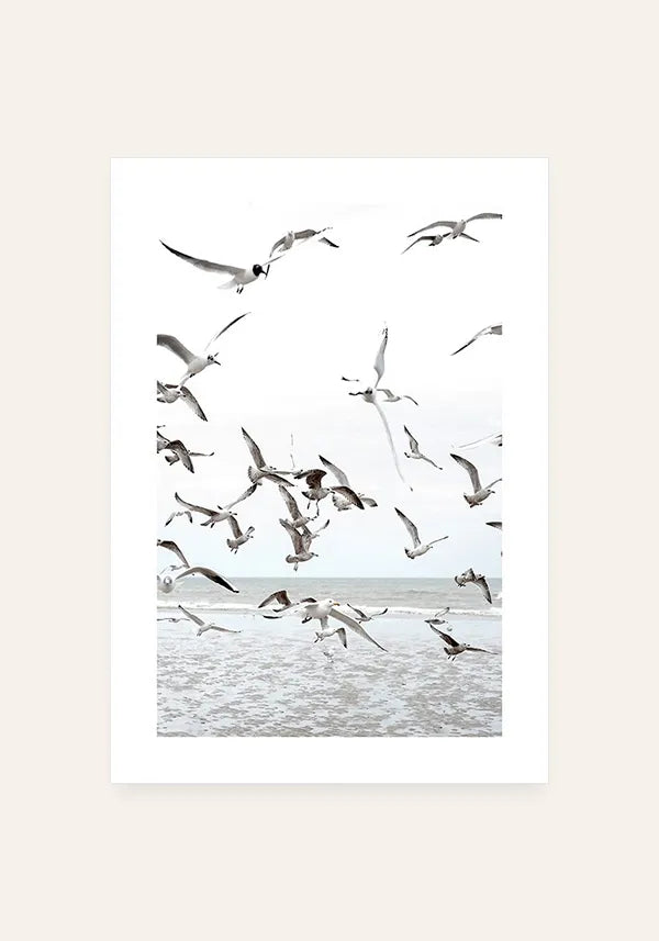 Quadro Gaivotas na Praia com Borda