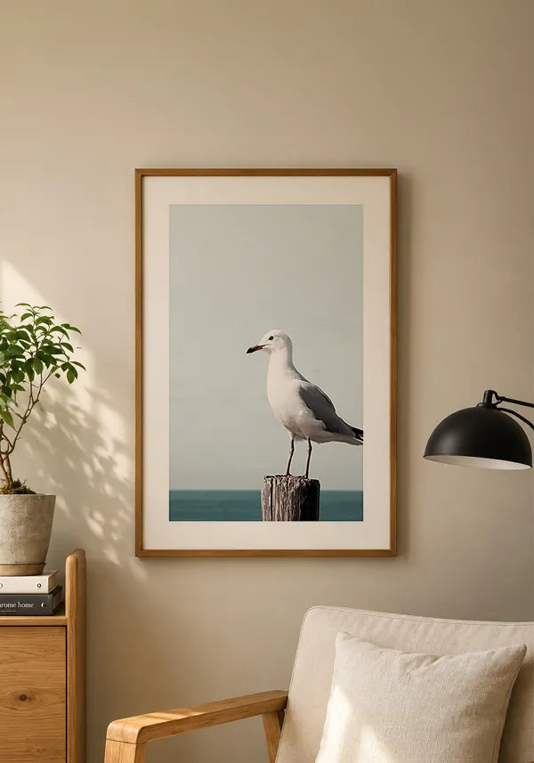 Quadro Gaivota com Borda