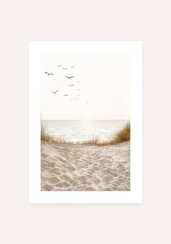 Quadro Pássaros na Praia Fotografia com Borda