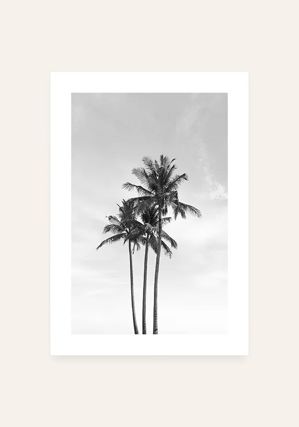 Quadro Coqueiros Preto e Branco com Borda