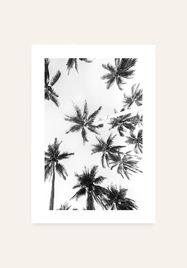 Quadro Coqueiro Preto e Branco com Borda