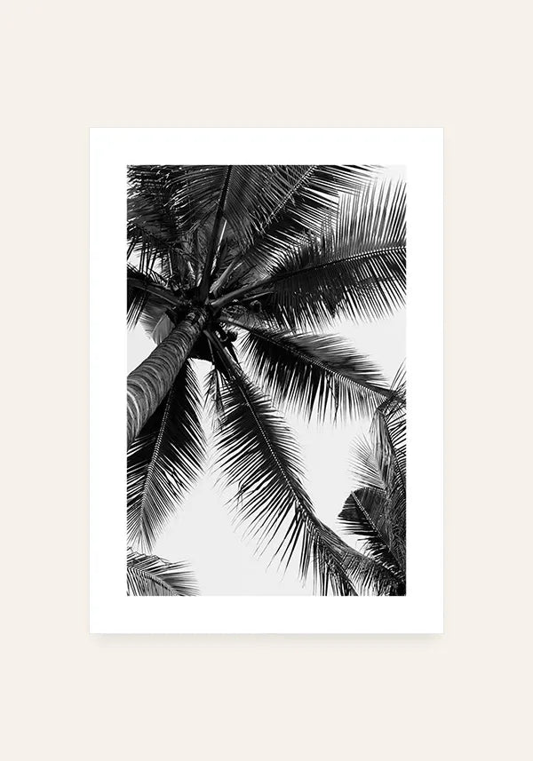 Quadro Decorativo Coqueiro Preto e Branco com Borda