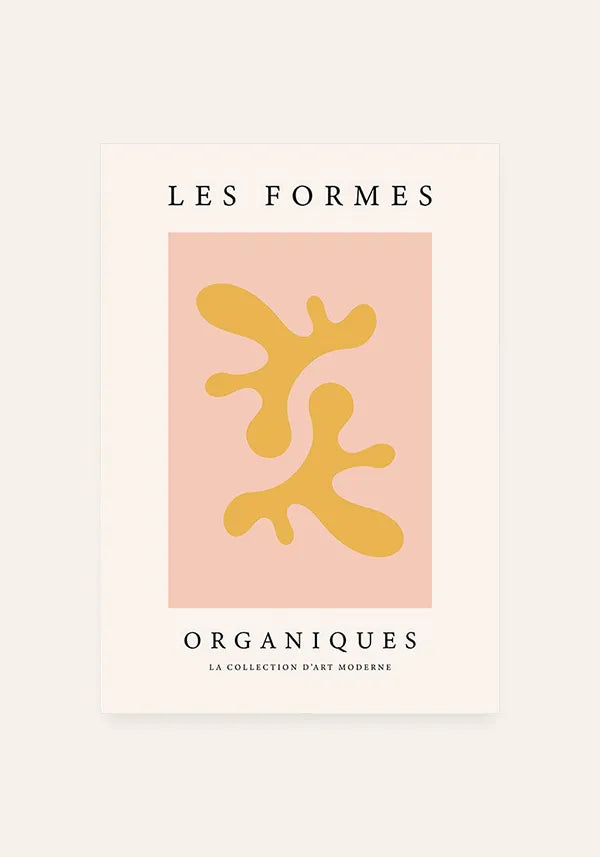 Quadro Matisse Inspired Art Formes Organiques II
