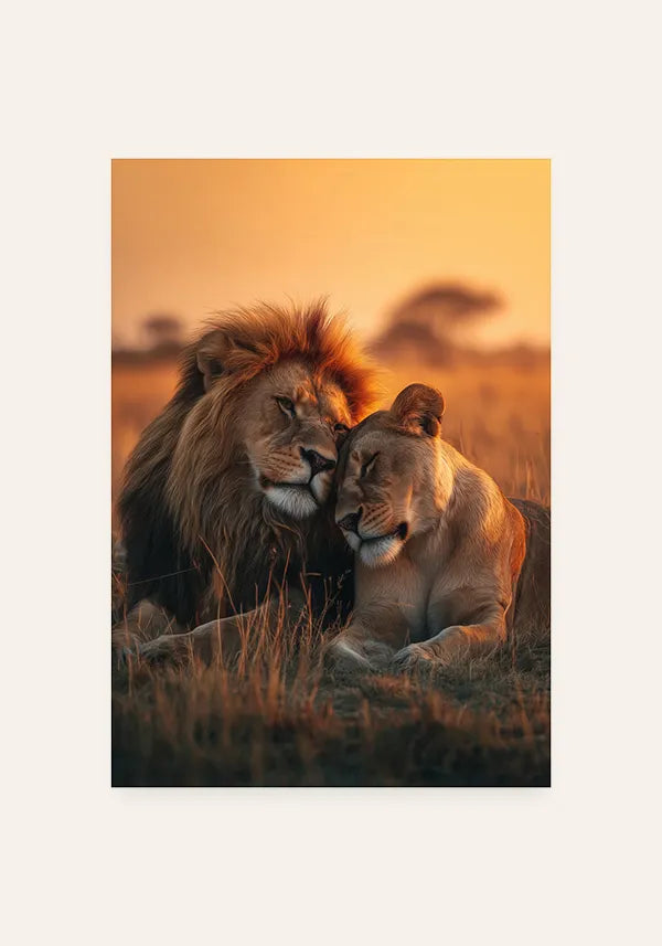 Quadro Leão e Leoa
