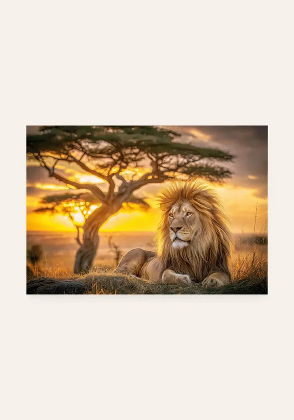 Quadro Leão na Savana Horizontal